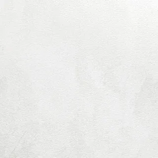 P98-2376 견본