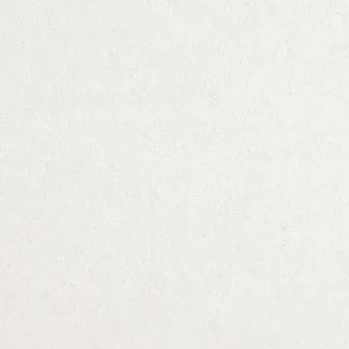 P98-2350 견본