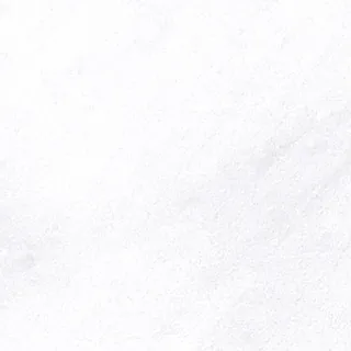 P98-2348 견본