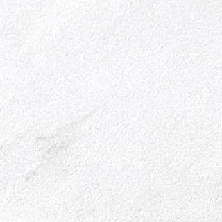 P98-2354 견본
